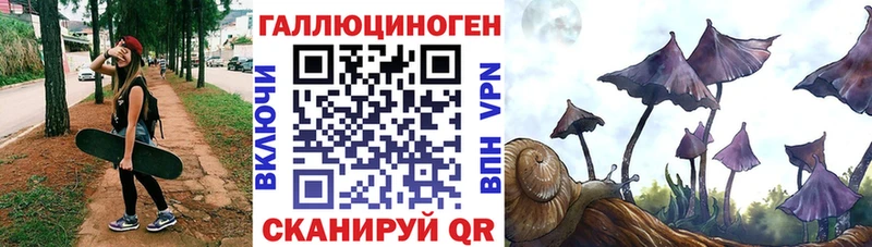Псилоцибиновые грибы мицелий Купить где Ирбит